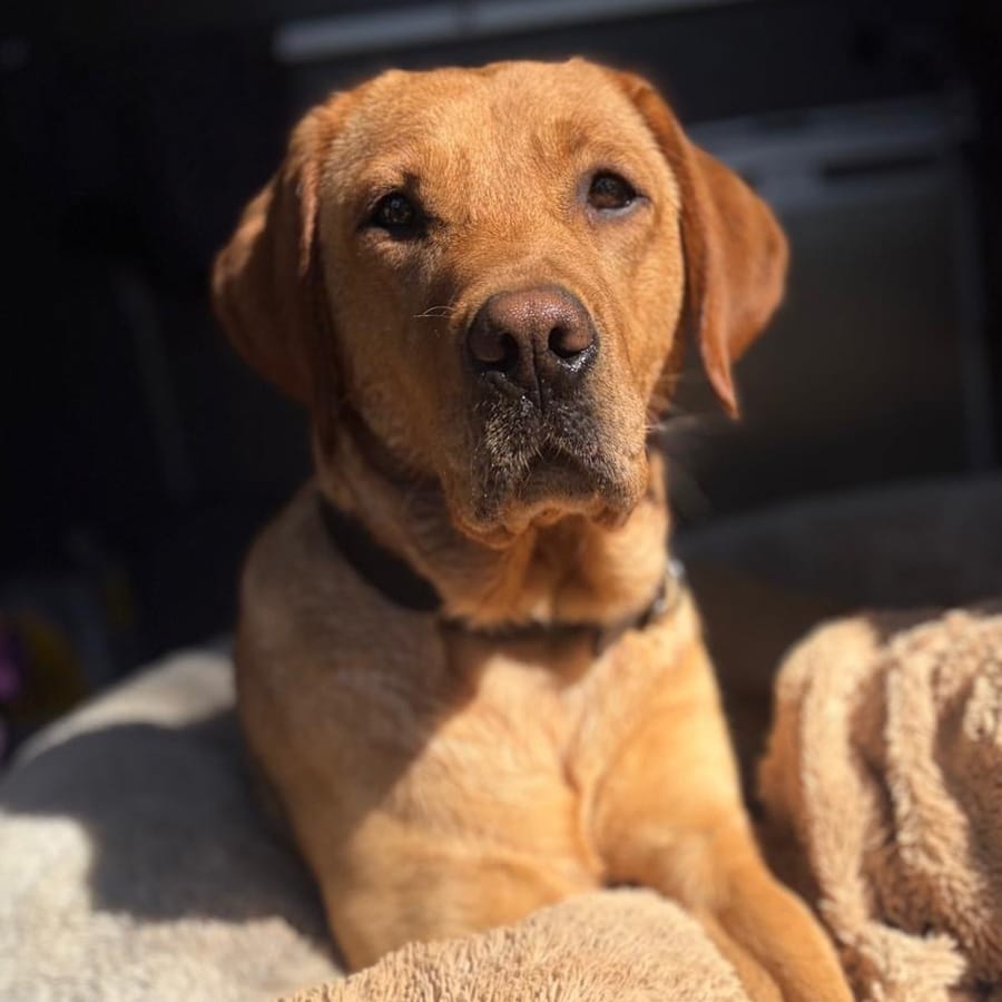 Sam